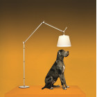 Artemide Tolomeo Mega LED Floor Lamp