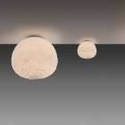 Artemide Meteorite Ceiling / Wall Light