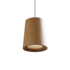 Case Solid Cone Pendant