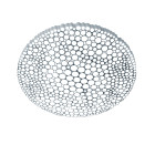 Artemide Calipso App Compatible LED Ceiling / Wall Light