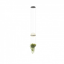 Vibia Palma 3724 LED Pendant