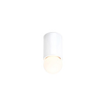 Michael Anastassiades Porcelain Series O1 Ceiling / Wall Lig