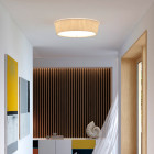 Centrelight Efonda Ceiling Light