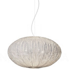 a-emotional light Coral Seaurchin Large