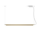 Compendium Suspension Light in Brass