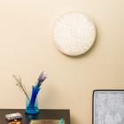 Artemide Calipso LED Ceiling/Wall App Compatible