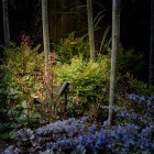 Astro Myos Outdoor LED Floor Spotlight Lifestyle Garden