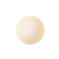Pholc Fall Wall Light