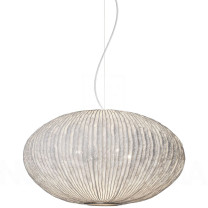 a-emotional light Coral Seaurchin Large