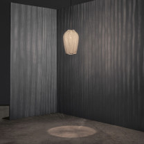 a-emotional light Coral Galaxea