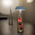 Black Axolight Float LED Floor Lamp on Bottle