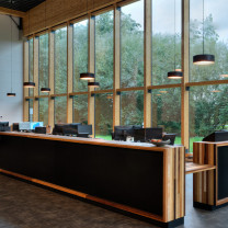 Black/Brass BEGA 50999 LED Pendants