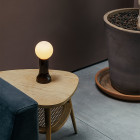 Bottle Brown Tala Shore Table Lamp