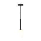 Astro Tacoma Pendant Matt Black Tacoma Tulip White