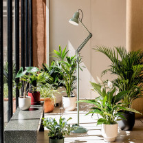 Anglepoise Original 1227 Floor Lamp National Trust Sage Green