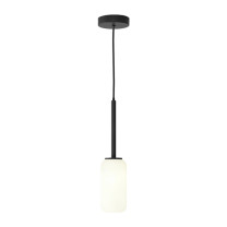 Astro Tacoma Pendant Matt Black Tacoma Reed White