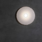 Axolight Muse Ceiling/Wall Light on Wall