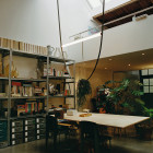 Green Flos Wireline LED Suspension