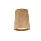 Case Solid Cone Downlight Oak