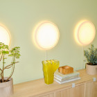 Muuto Looped Wall/ Ceiling Lamp w/ inline dimmer and plug in Multiples