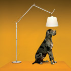 Artemide Tolomeo Mega LED Floor in Studio