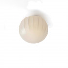 Luceplan Lita Wall/Ceiling Light in Medium