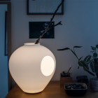 Foscarini Madre Table Lamp