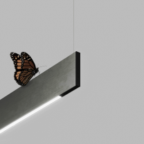 Davide Groppi Sottile LED Suspension Light - Close Up 