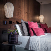 a-emotional light Coral Galaxea in Hotel