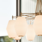 Northern Dahl Chandelier Closeup