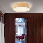 Centrelight Efonda Ceiling Light