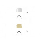 Foscarini Lumiere Table Lamp - Small, Warm White / Black Chrome