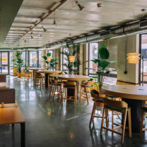 a-emotional light Ura 304 Pendant in restaurant