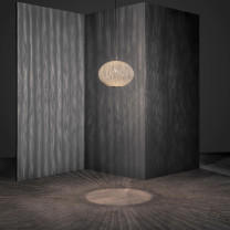 a-emotional light Coral Seaurchin small