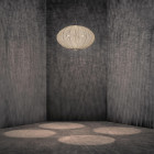 a-emotional light Coral Seaurchin large