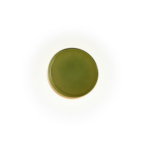 Marset Caramel LED Wall Light Medium 28 Green