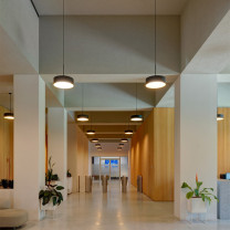 Black/Brass BEGA 50999 LED Pendants