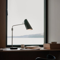 Northern Birdy Table Lamp by Window