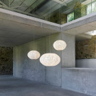 a-emotional light Coral Seaurchin both sizes