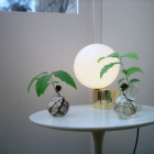 Michael Anastassiades Tip of the Tongue Table Lamp Lifestyle Side Table