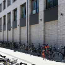 Graphite BEGA 24501 LED Wall Lights