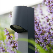 Graphite BEGA 77249 LED Bollard