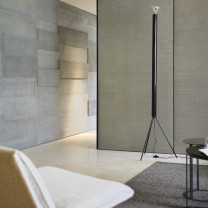 Anthracite Flos Luminator Floor Lamp