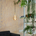 Brass Tala Voronoi II Pendant