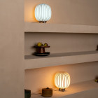 Established & Sons Filigrana T2 Table Lamp - Blue and Red on Shelves