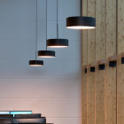 Black/Brass BEGA 50999 LED Pendants