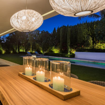 a-emotional light Coral Seaurchin in bar