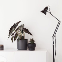 Anglepoise Original 1227 Floor Lamp Jet Black Beside Shelf