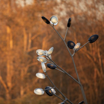 Bocci 16 Tree Exterior Floor Light White 1 and Grey 2