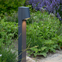 Graphite BEGA 77249 LED Bollard